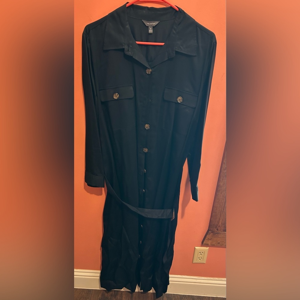 The Limited Black Collared Dress